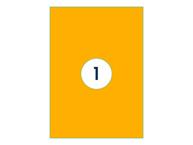 Etiket Rillprint 210x297mm fluor oranje 100st