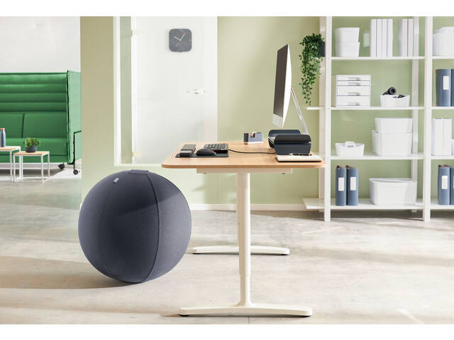 Actieve zitbal Leitz Ergo 55cm anti-rol donkergs
