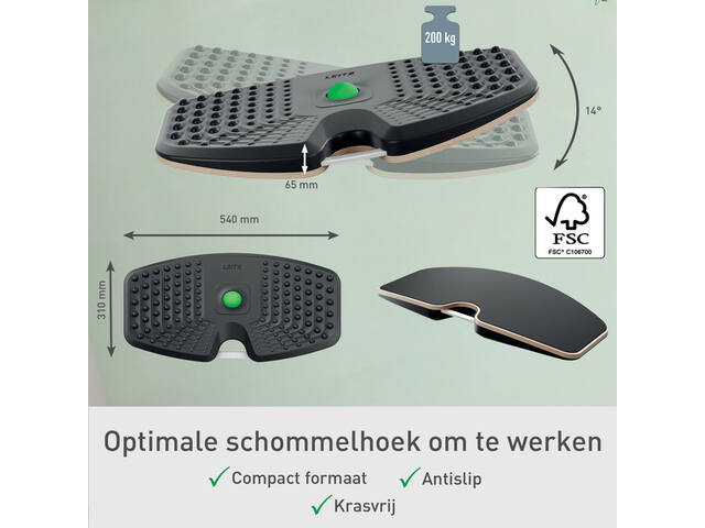 Balansbord Leitz Ergo Actief