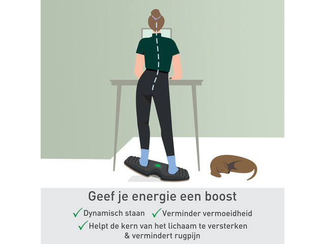 Balansbord Leitz Ergo Actief
