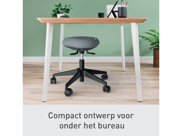 Zitkruk Leitz Ergo met wieltjes en wiebelkussen