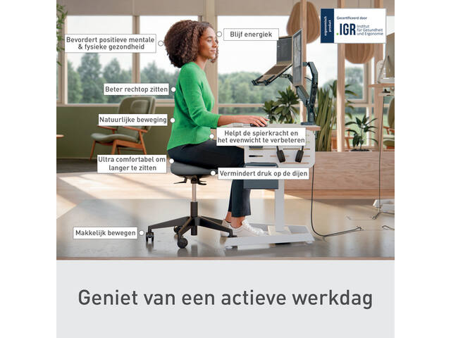 Zitkruk Leitz Ergo met wieltjes en wiebelkussen
