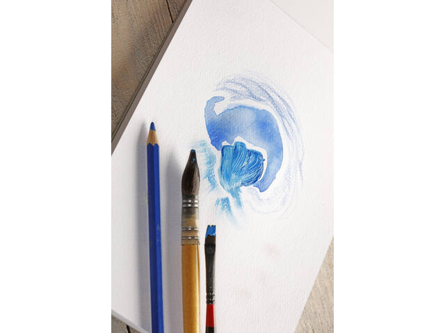 Tekenblk Clairefontaine Paint A4 korrel 20v 250gr
