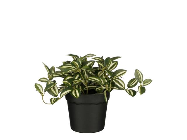 Kunstplant Mica Tradescantia in pot groen