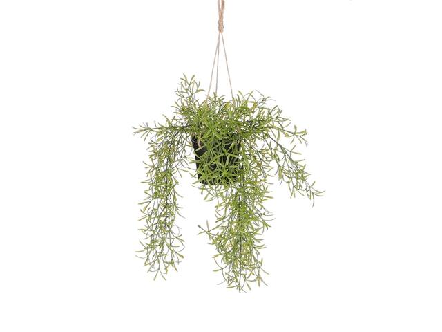Kunstplant Mica Rhipsalis hangend in pot groen