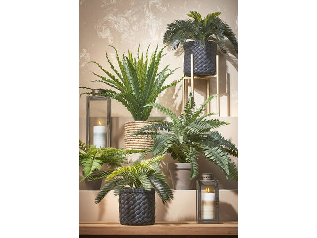 Kunstplant Mica Boston varen groen in pot