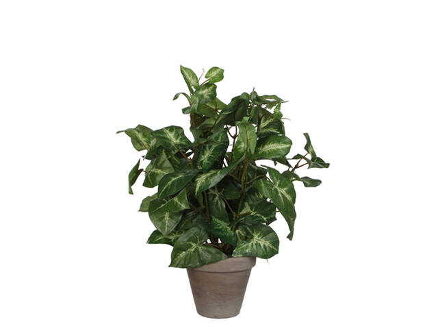 Kunstplant Mica Syngonium groen in pot