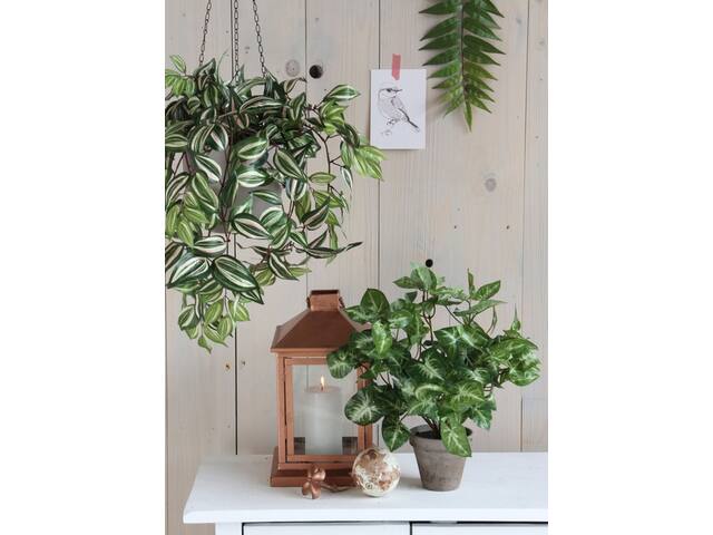 Kunstplant Mica Syngonium groen in pot