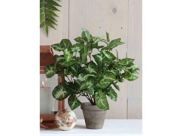 Kunstplant Mica Syngonium groen in pot