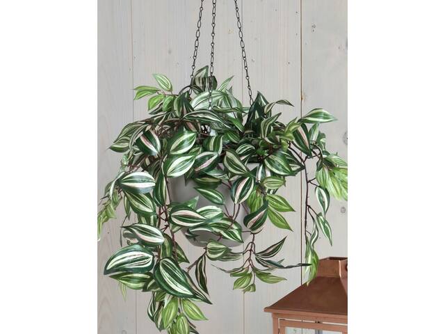 Kunstplant Mica Tradescantia hangend groen