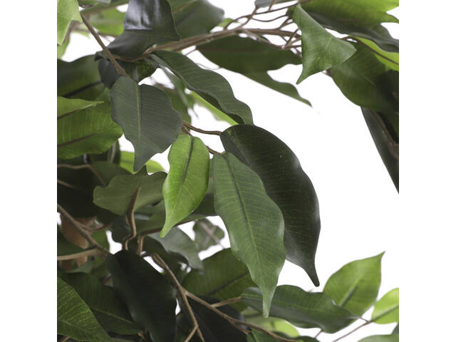 Kunstplant Mica Ficus groen in pot