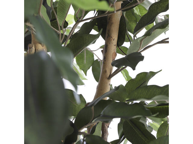 Kunstplant Mica Ficus groen in pot