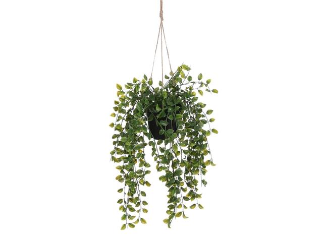 Kunstplant Mica Ficus hangend in pot groen