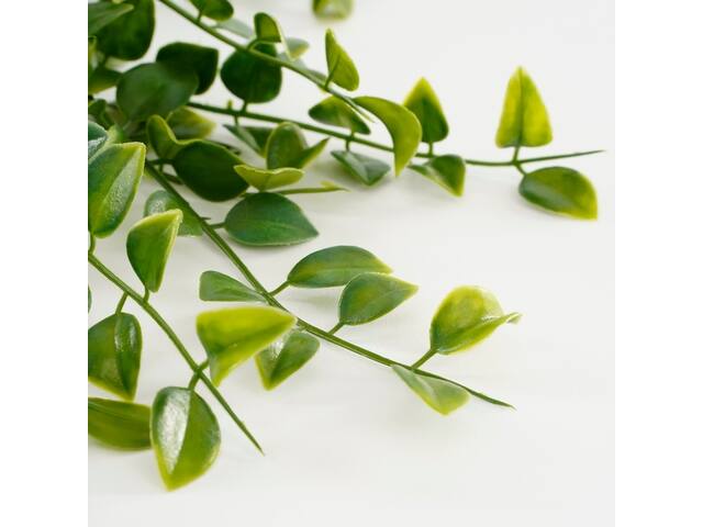 Kunstplant Mica Ficus hangend in pot groen