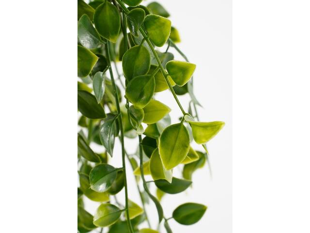 Kunstplant Mica Ficus hangend in pot groen