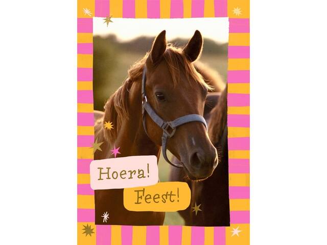 Wenskaart Hallmark uitnodiging paarden 6 stuks