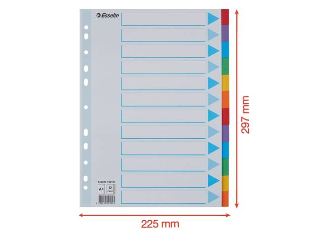 Tabbladen Esselte Stand A4 12dlg karton 11r ass