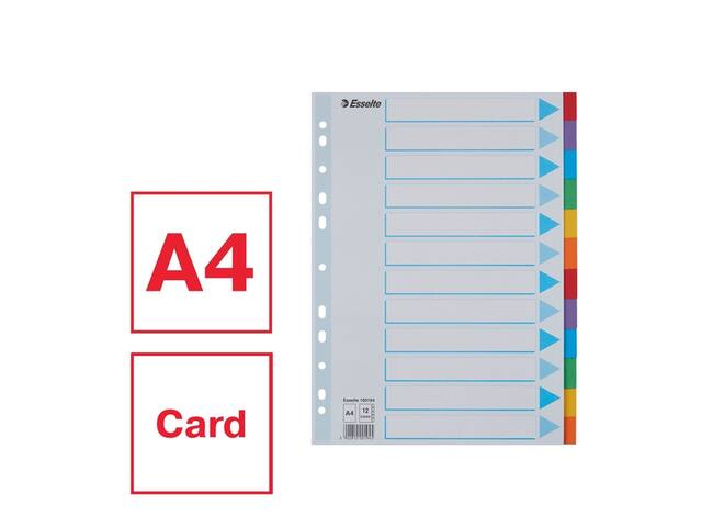 Tabbladen Esselte Stand A4 12dlg karton 11r ass