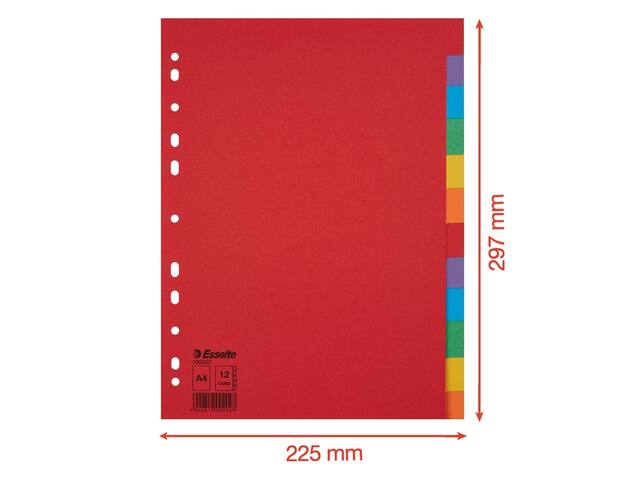 Tabbladen Esselte Economy A4 12dlg karton 11r ass