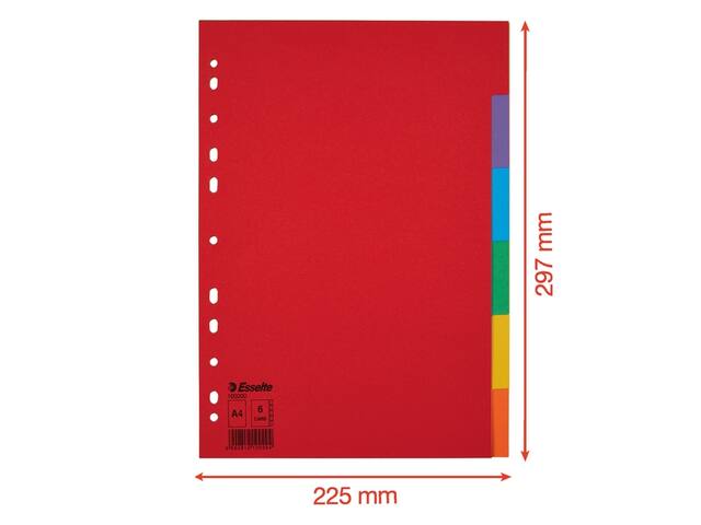 Tabbladen Esselte Economy A4 6dlg  karton 11r ass