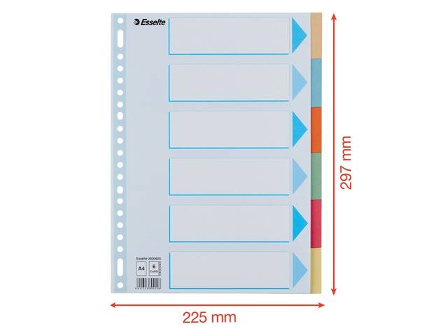 Tabbladen Esselte premium A4 6dlg karton 23r ass