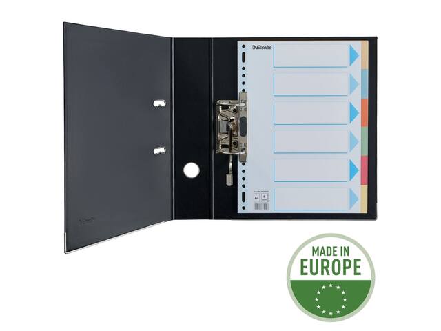 Tabbladen Esselte premium A4 6dlg karton 23r ass