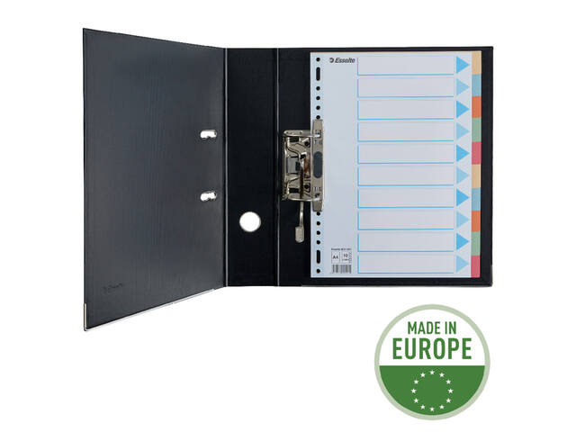 Tabbladen Esselte premium A4 10dlg karton 23r ass
