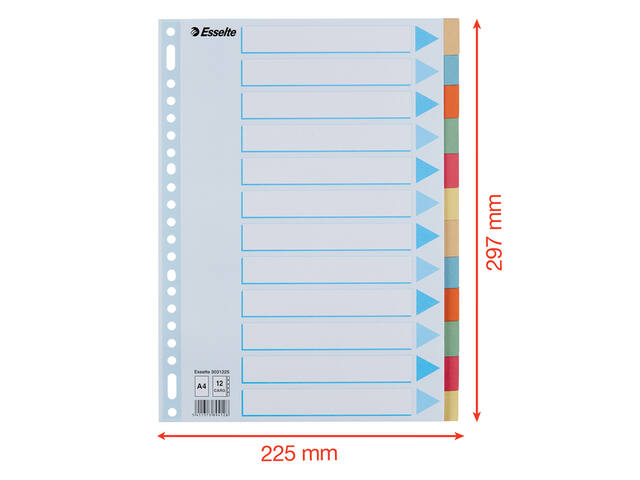 Tabbaden Esselte premium A4 12dlg karton 23r ass