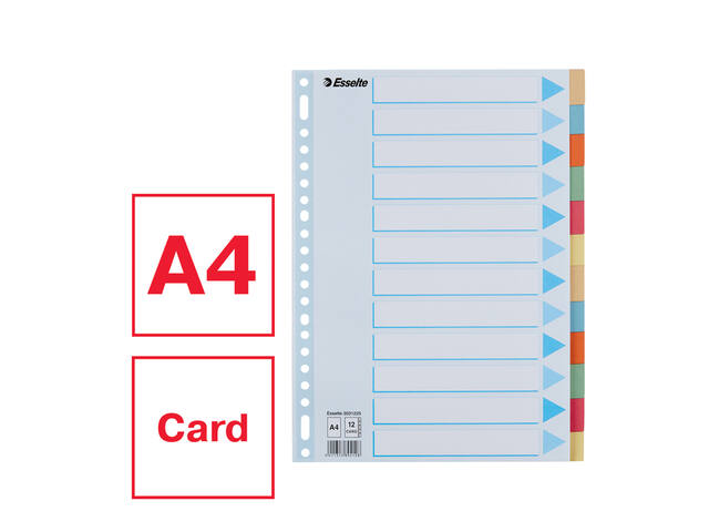 Tabbaden Esselte premium A4 12dlg karton 23r ass