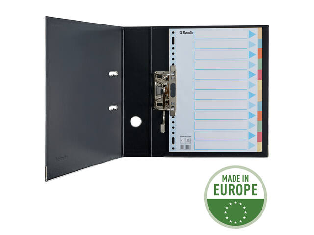 Tabbaden Esselte premium A4 12dlg karton 23r ass