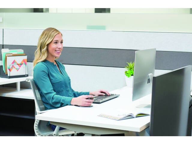 Ergonomische muis Fellowes Penguin drl medium