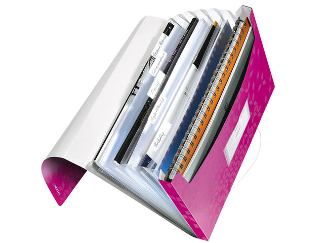Projectmap Leitz WOW voor A4 6 vaks PP roze