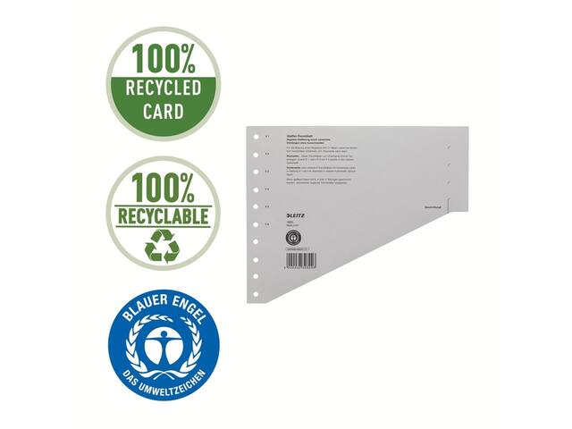SCHEIDINGSBLADEN LEITZ 1651 KARTON A4 200GR GRIJS