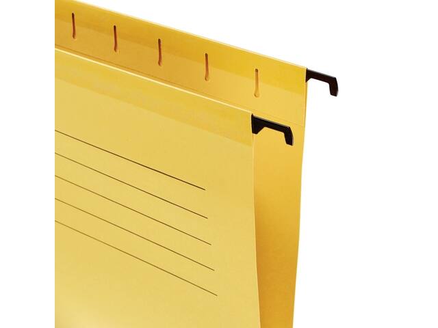 Hangmap Esselte Classic A4 V-bodem 345x240mm gl