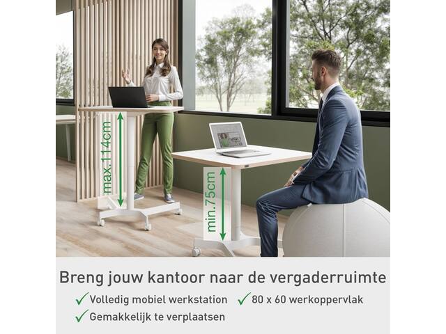 Zit-sta bureau Leitz Ergo compact