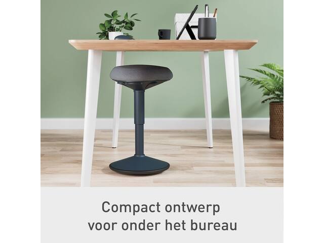 Actieve zitkruk Leitz Ergo met gasveer