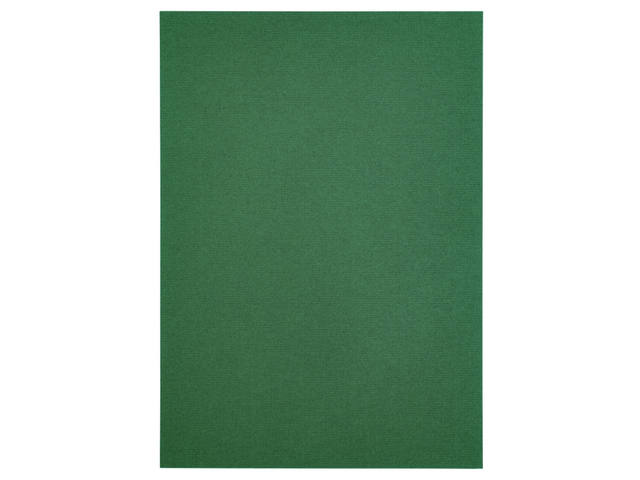 Kopieerpapier Papicolor A4 200gr dennengroen