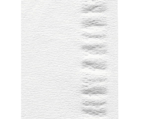 Facial tissues Satino HiLine 100 vel wit 206450