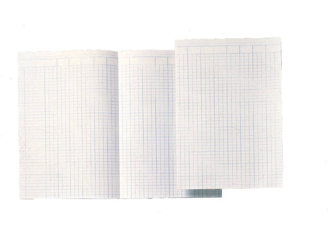 Accountantspapier Djois Atl A4 14 kolom