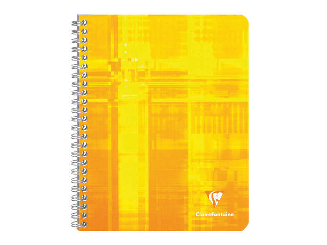Schrift Clairefontaine A4 lijn 100pag 90gr ass