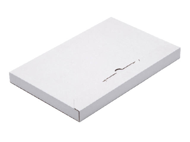Brievenbusbox CleverPack A4 karton wit