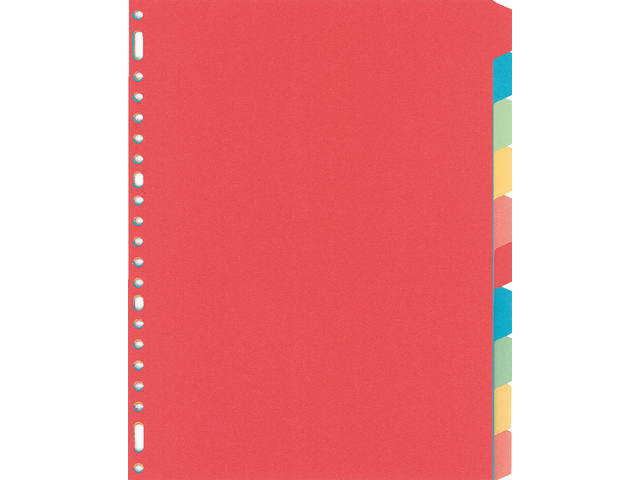 Tabblad Kangaro 23r PE410M 10 delig assorti karton