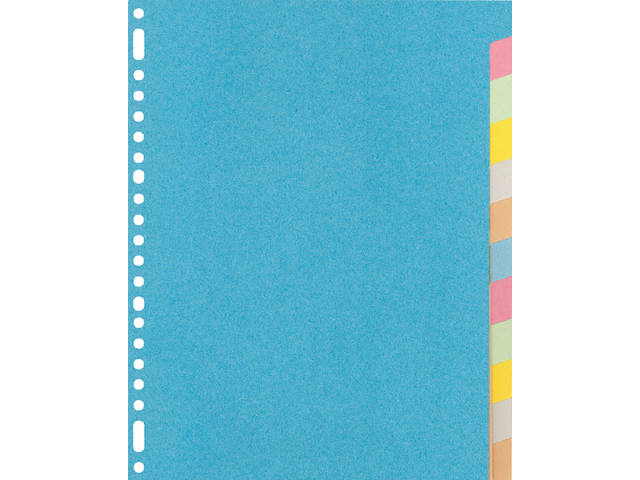 Tabblad Kangaro 23r RY412M 12 delig assorti karton