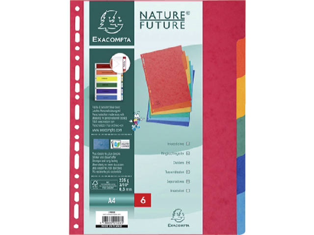 Tabbladen Exacompta 225x297mm 11gaats 6del glans