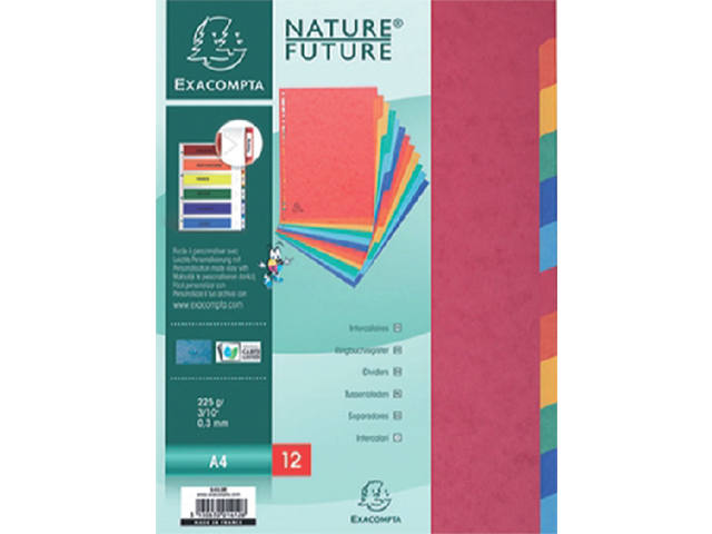 Tabbladen Exacompta 225x297mm 11gaats 12del glans