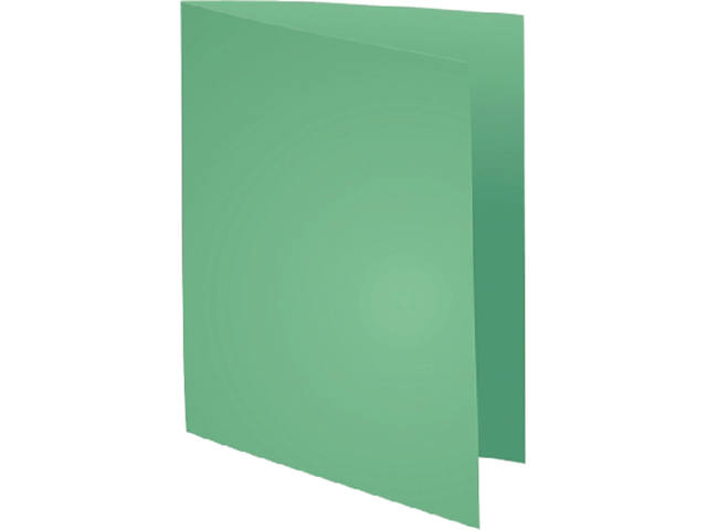 Vouwmap Exacompta Forever A4 170gr grasgroen
