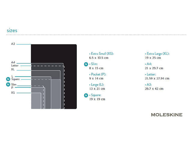Notitieboek Moleskine large 130x210mm ln hc zwart