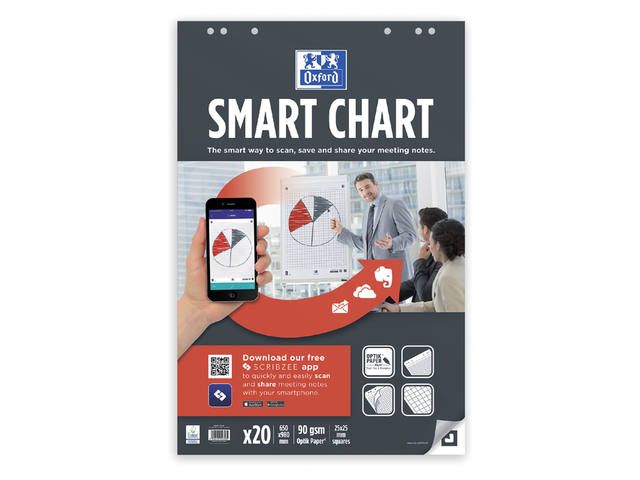 Flipoverpap Oxford smart 650x980mm ruit 90gr 20v