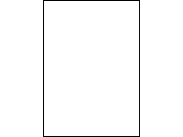 Etiket Avery 6119 210x297mm A4 wit 25st