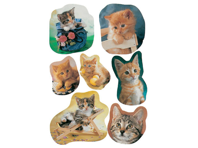 Etiket HERMA 5747 katten